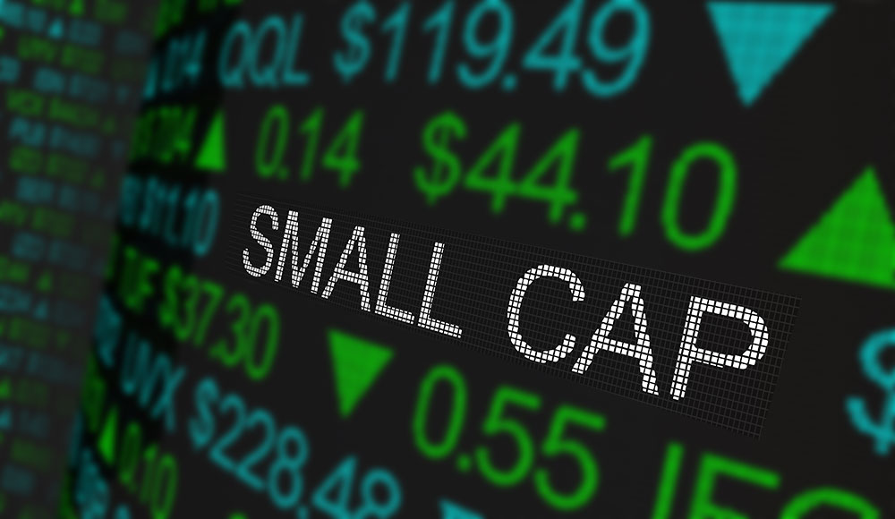 Small Cap